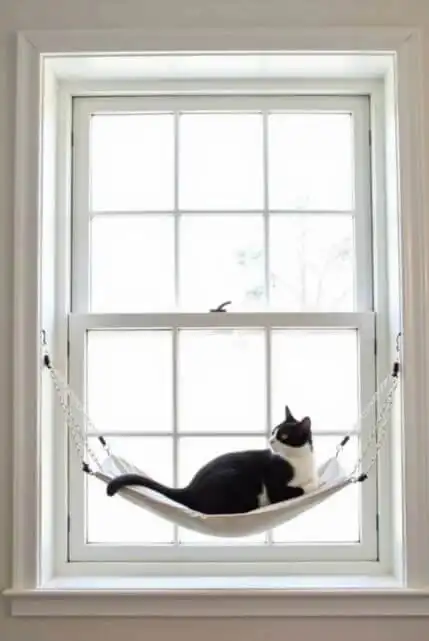 DIY cat window perch ideas