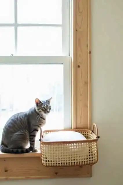 DIY cat window perch ideas