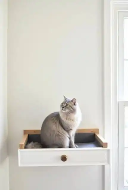 DIY cat window perch ideas