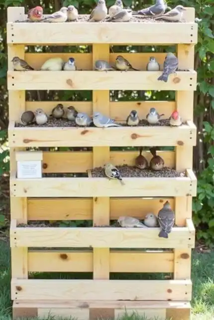 Bird Feeder Station Ideas 2025