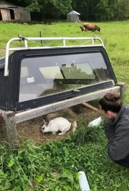 DIY outdoor rabbit hutch ideas