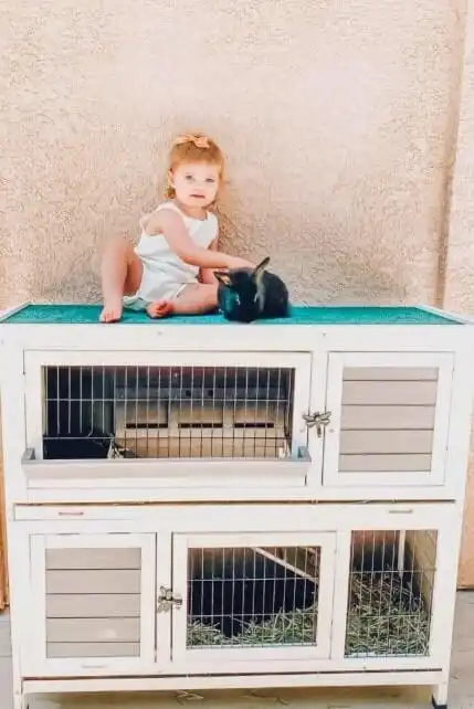 DIY outdoor rabbit hutch ideas