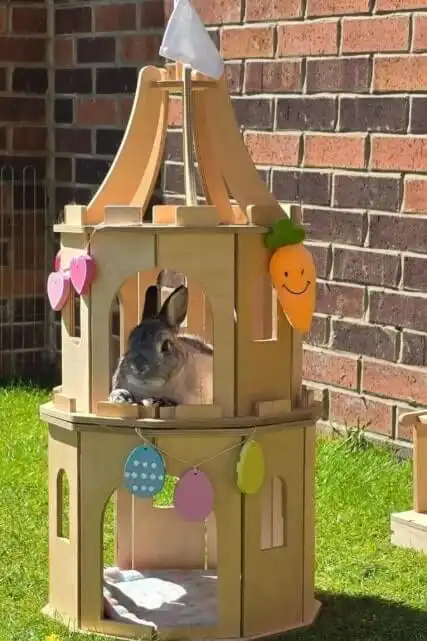 DIY outdoor rabbit hutch ideas