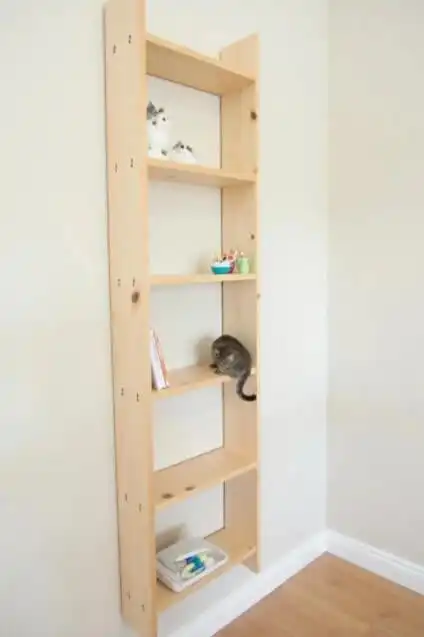 DIY cat shelves and climbing walls