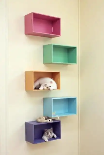 DIY cat shelves and climbing walls