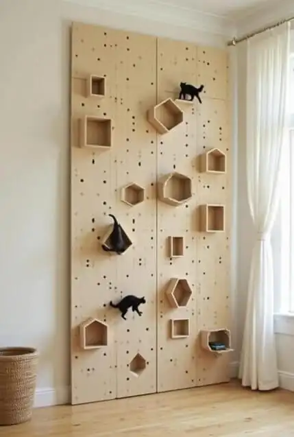 DIY cat shelves and climbing walls