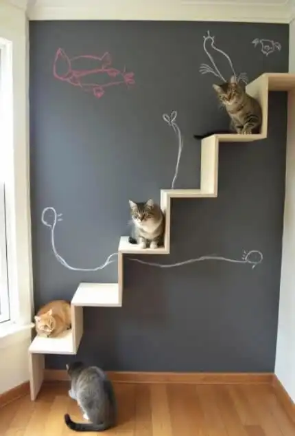 DIY cat shelves and climbing walls