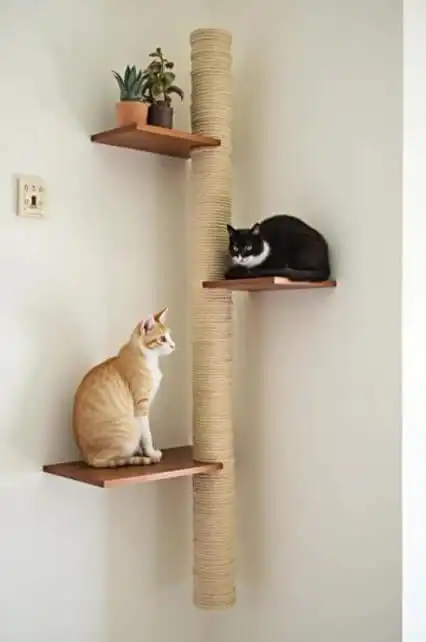 DIY cat shelves and climbing walls