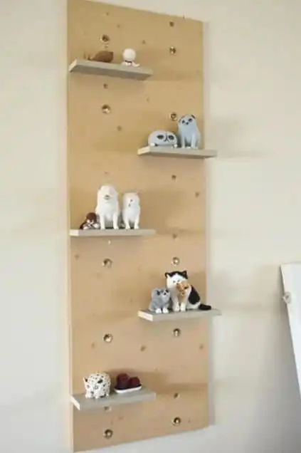 DIY cat shelves and climbing walls