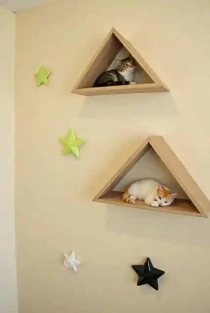 DIY cat shelves and climbing walls