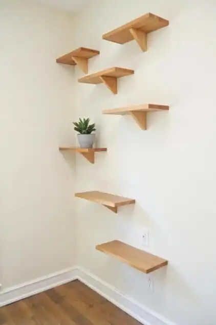 DIY cat shelves and climbing walls