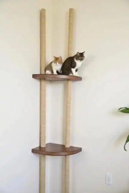 DIY cat shelves and climbing walls