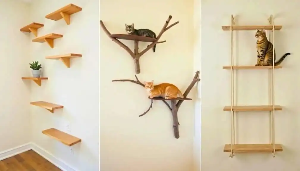 DIY cat shelves and climbing walls