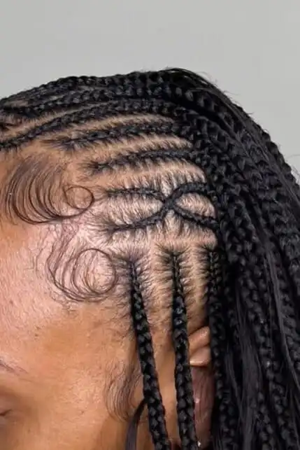 Fulani braids hairstyles 2025 