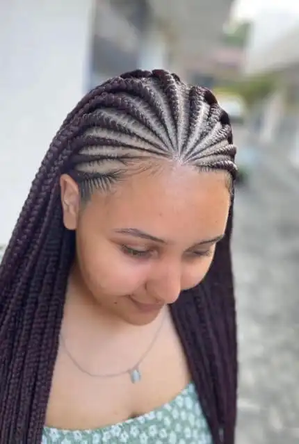 Fulani braids hairstyles 2025 